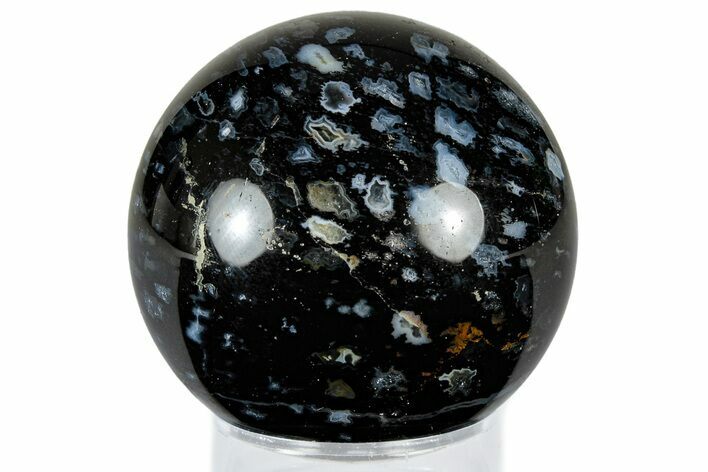 Polished, Black Petrified Palm Root Sphere - Indonesia #308997